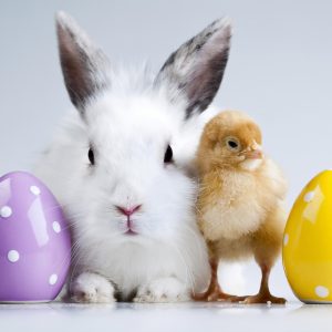 Rechtzeitig an Ostern denken!
