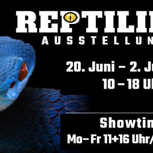 20.06.–02.07. Reptilien-Ausstellung und -Show