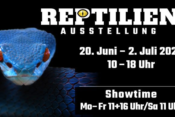 20.06.–02.07. Reptilien-Ausstellung und -Show