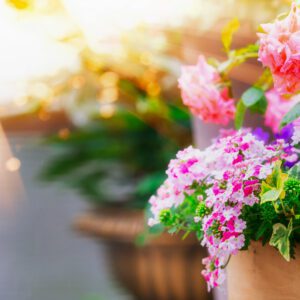 Endlich Sonne, Garten, Freizeit!