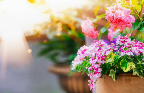 Endlich Sonne, Garten, Freizeit!
