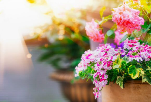 Endlich Sonne, Garten, Freizeit!