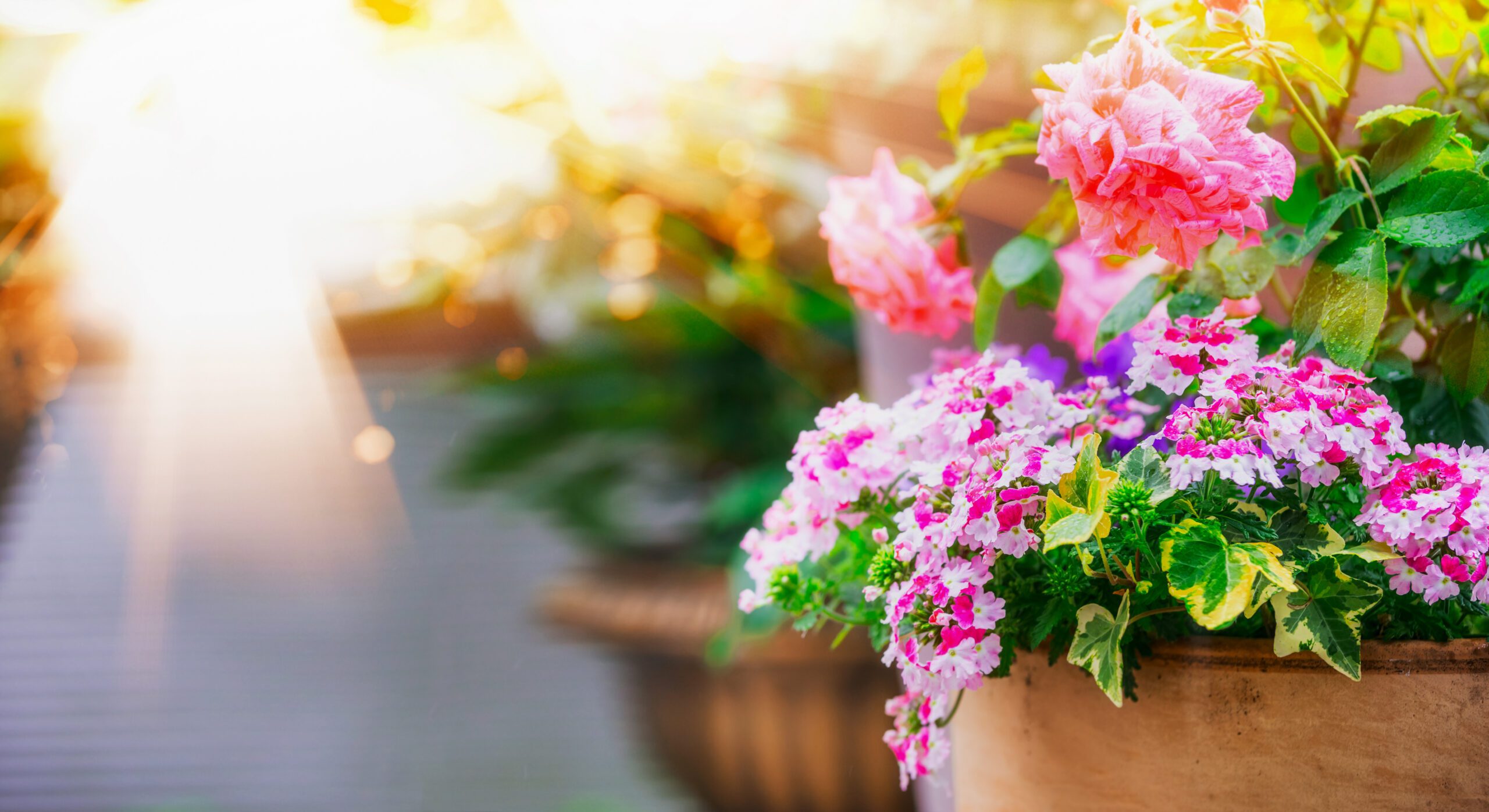 Endlich Sonne, Garten, Freizeit! Endlich Sonne, Garten, Freizeit!
