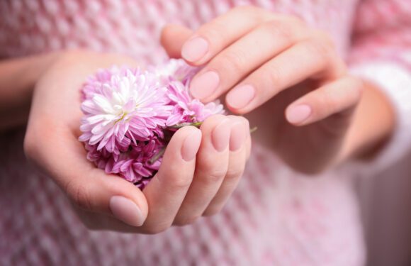 Sich den letzten Schliff geben lassen