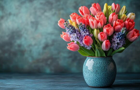 Tulpen aus Amsterdam