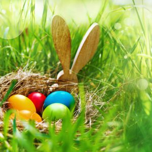 Täglich Neues entdecken – in Ihrem neuen EDEKA Markt