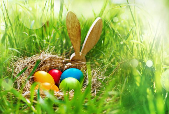 Täglich Neues entdecken – in Ihrem neuen EDEKA Markt Täglich Neues entdecken – in Ihrem neuen EDEKA Markt