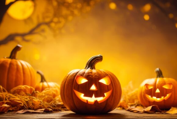 Ein Herbstwochenende voller Vielfalt Ein Herbstwochenende voller Vielfalt